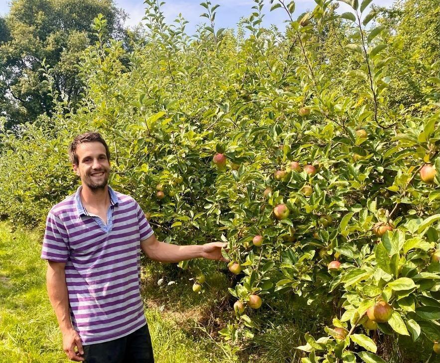 Thomas David dans ses vergers — récolte des pommes